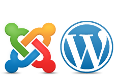 wordpress development cochin
