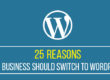 25 Reasons Your Business Should Switch to WordPress