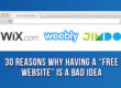 Free Website is a Bad Idea