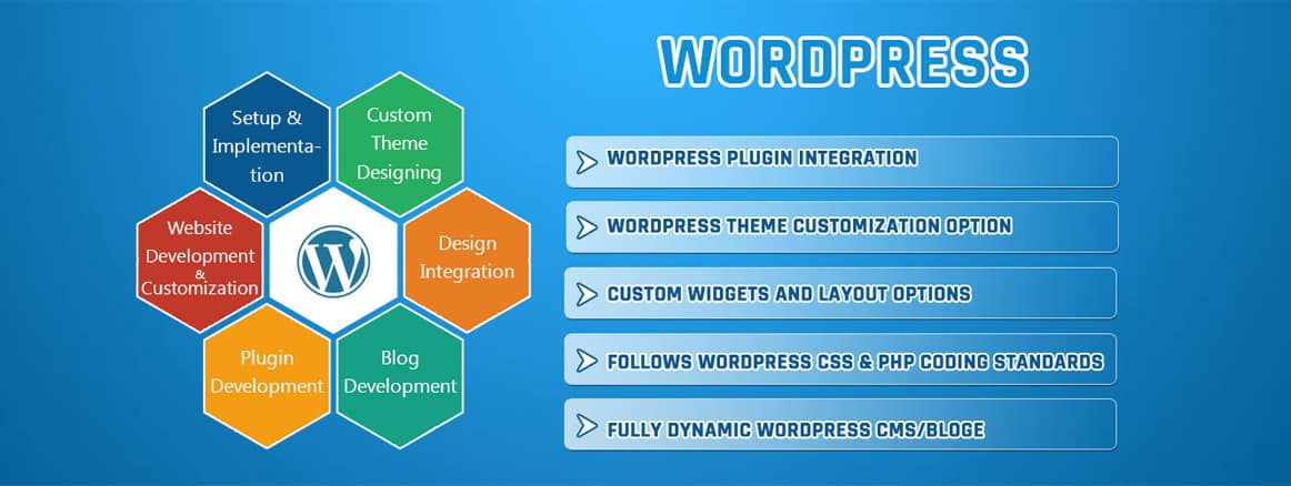 wordpress developer kerala