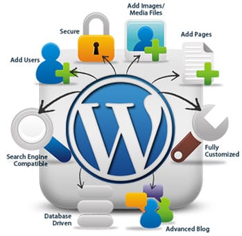 wordpress web developer kerala