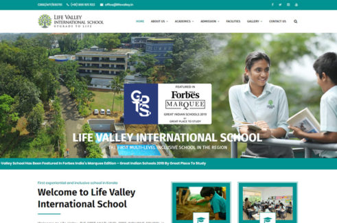 freelance web designer kottayam