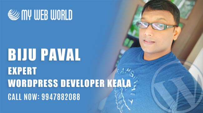 freelance wordpress developer kerala